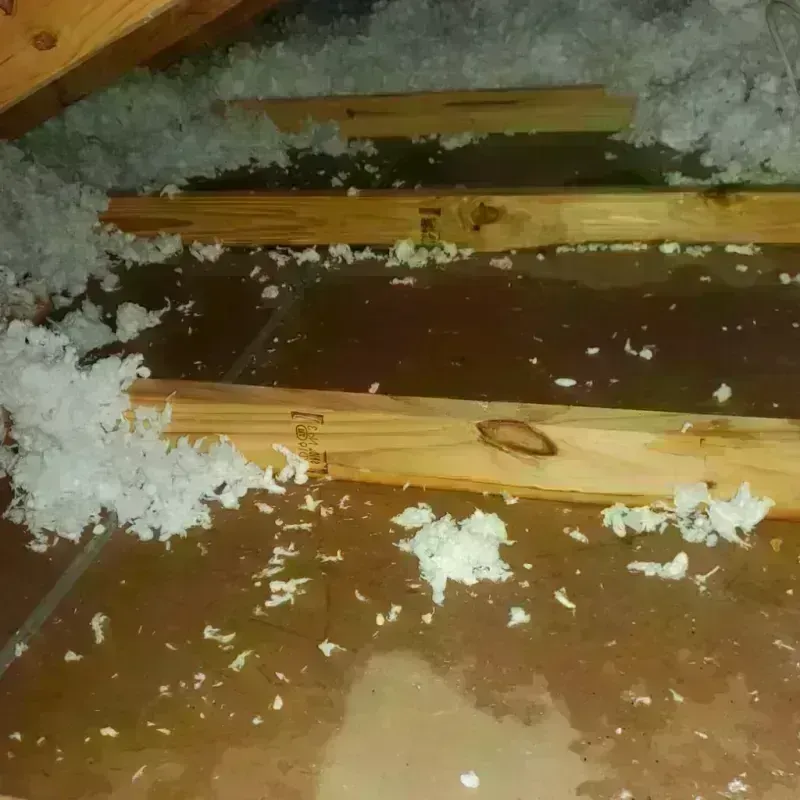 Attic Water Damage in Dalworthington Gardens, TX